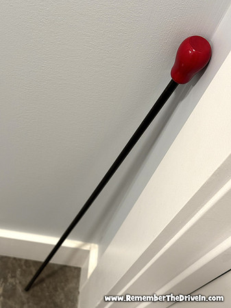 CarnivalCane1